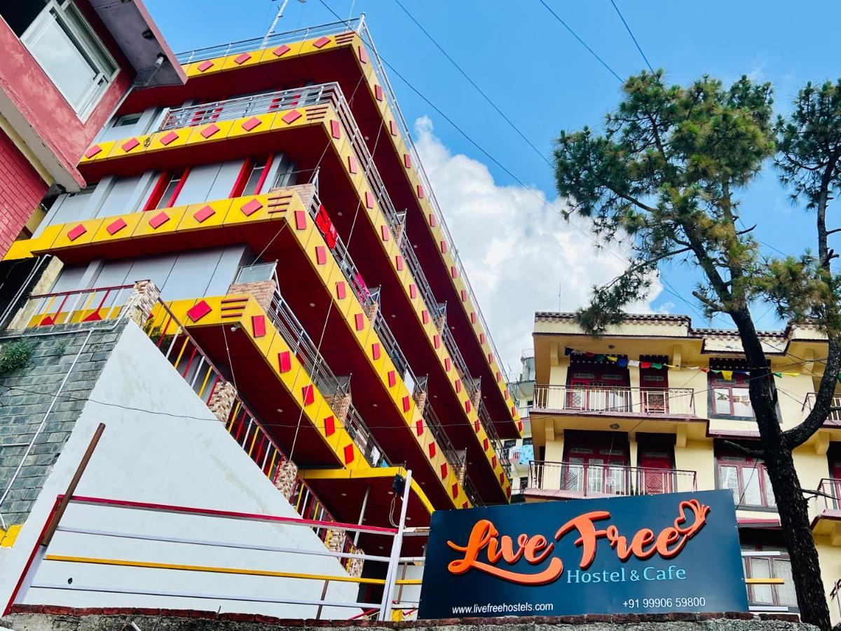 Live Free Hostel, Mcleodganj Мак-Леод-Гейндж Экстерьер фото