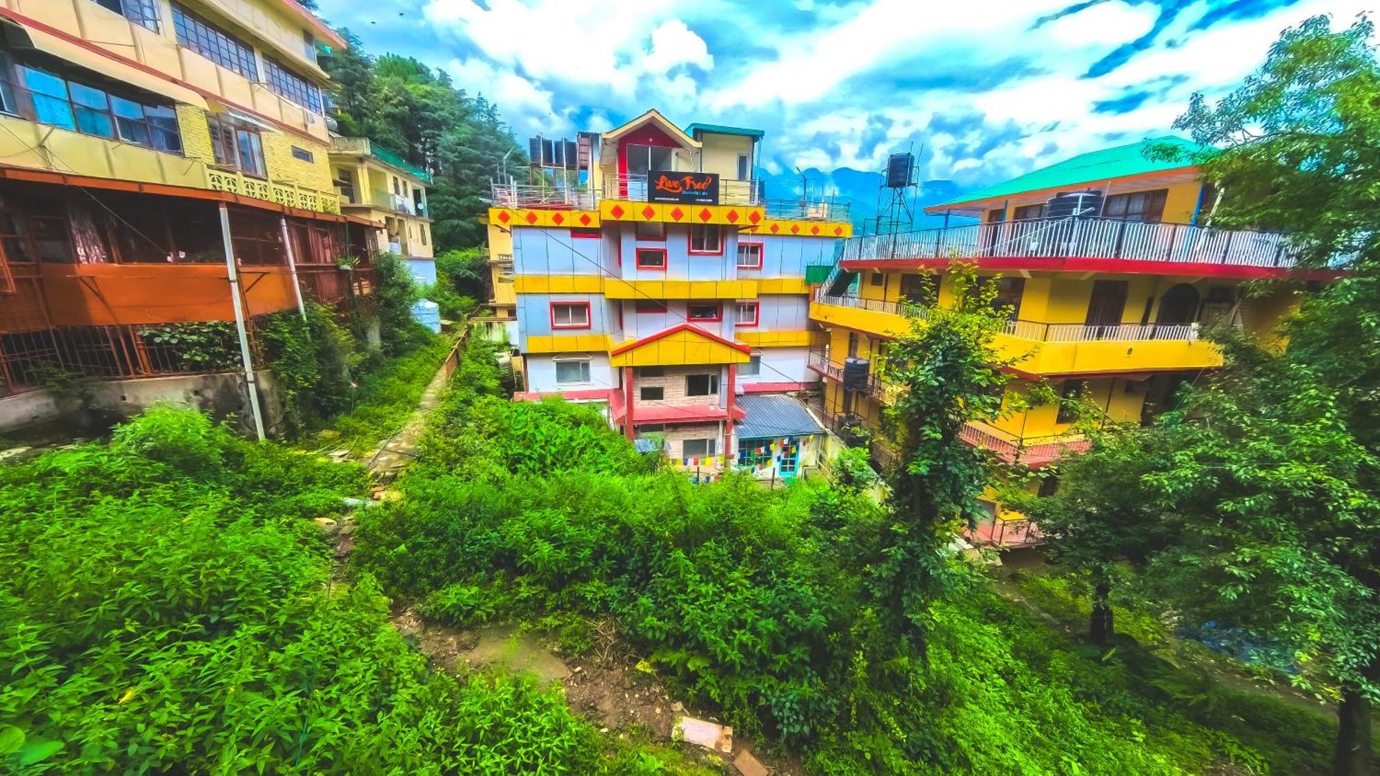 Live Free Hostel, Mcleodganj Мак-Леод-Гейндж Экстерьер фото